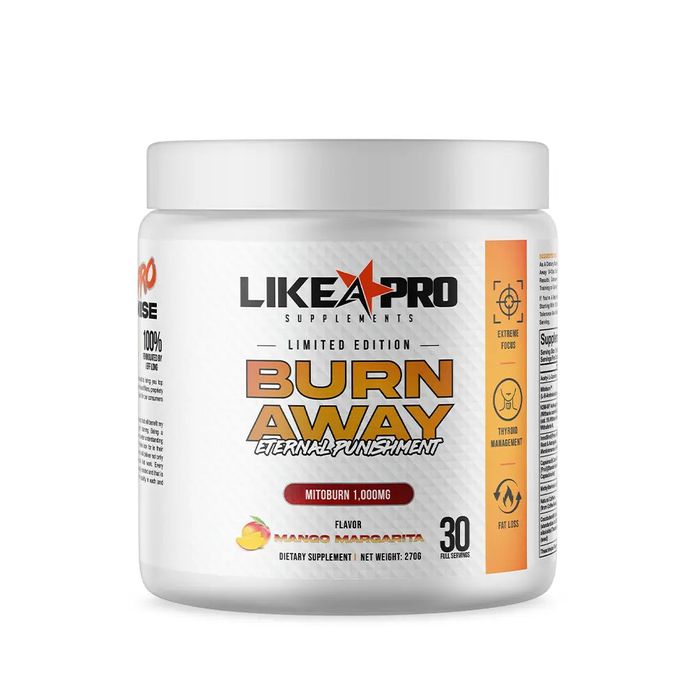 Like A Pro Burn Away Eternal Punishment