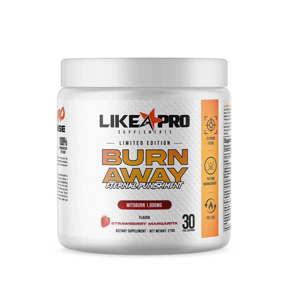 Like A Pro Burn Away Eternal Punishment